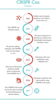 The Challenge of CRISPR-Cas Toward Bioethics